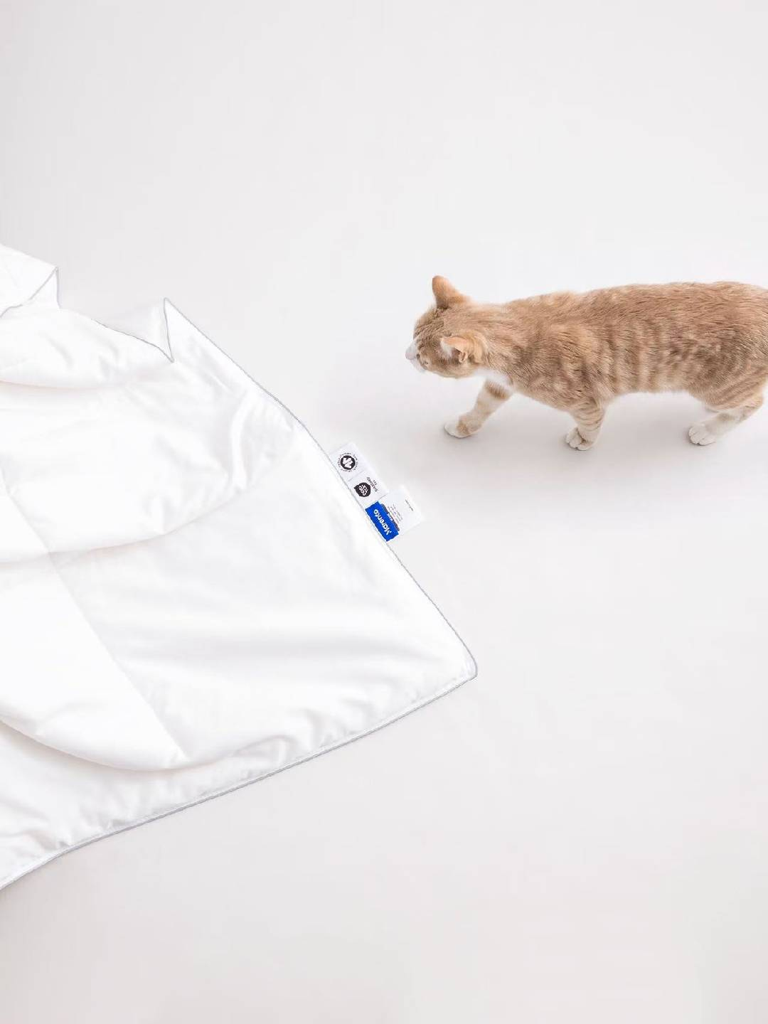 Silk-Filled Duvet