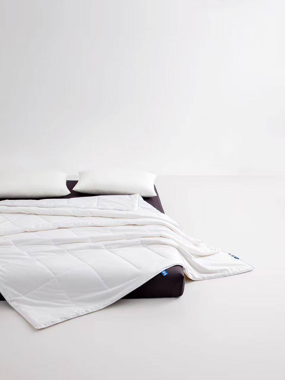 Silk-Filled Duvet